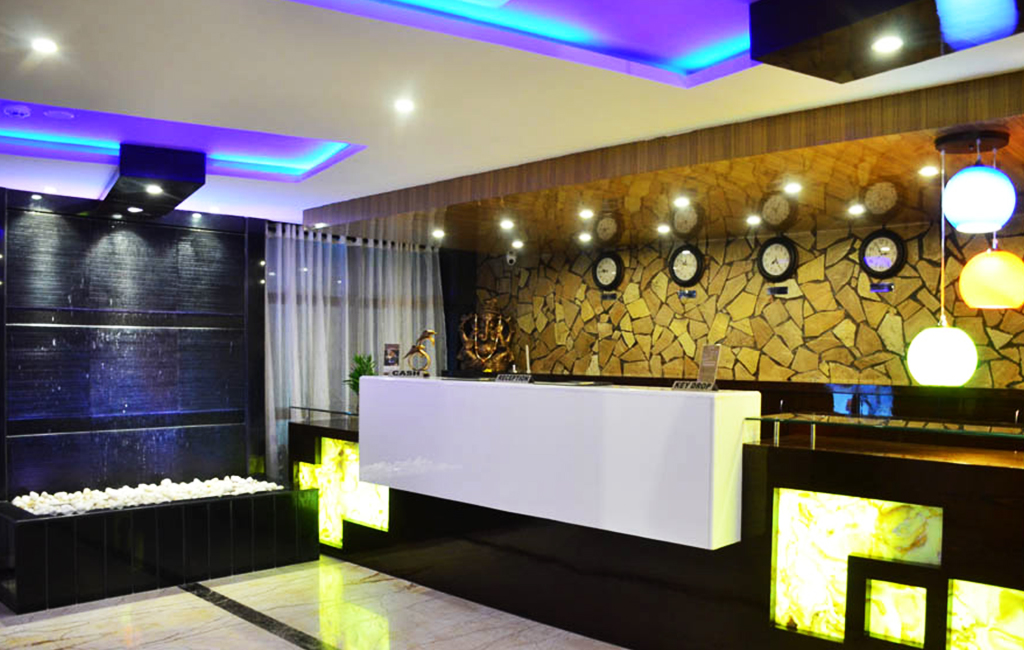 Dolphin Chocolate Inn