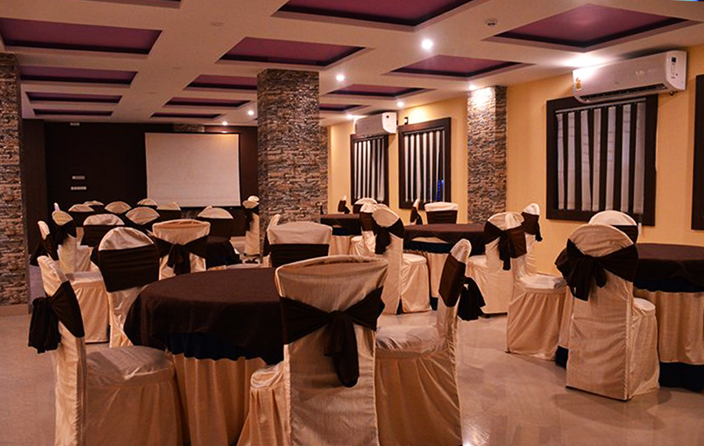 Dolphin Chocolate Inn