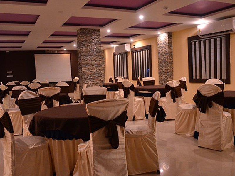 Dolphin Chocolate Inn